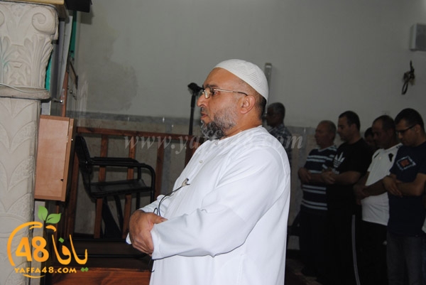 trawe7 zatona (10).JPG